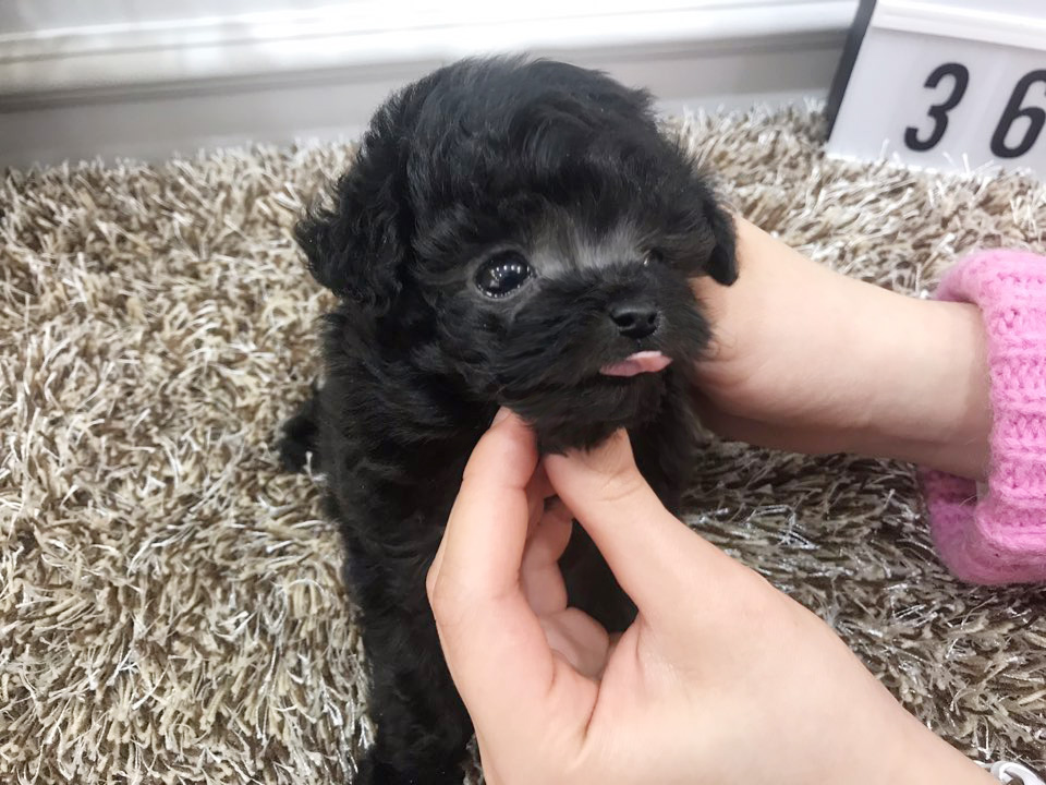 KakaoTalk_20190106_112305864.jpg