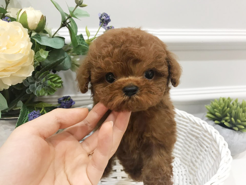 KakaoTalk_20190220_143709671.jpg