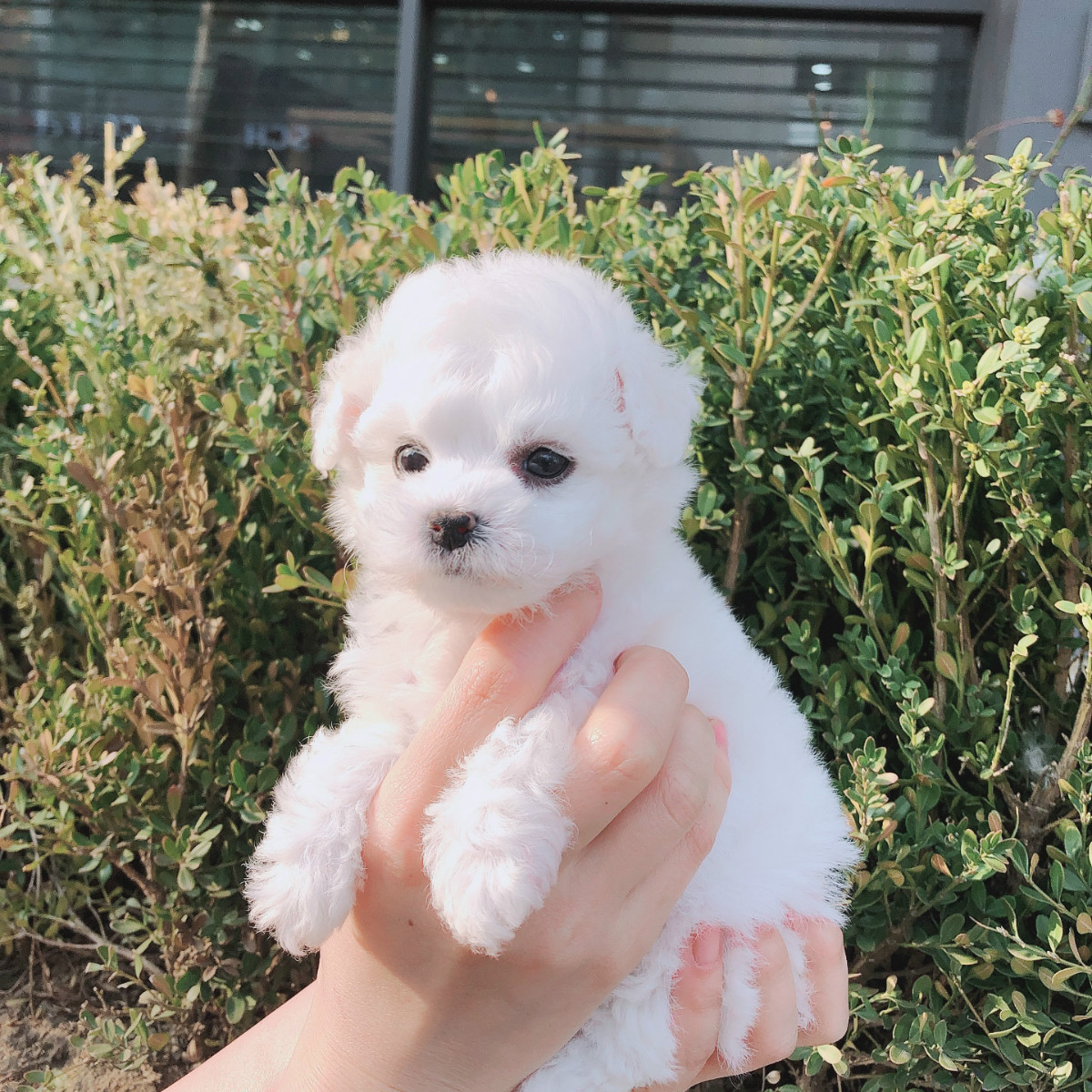 KakaoTalk_20190301_162058211_11.jpg