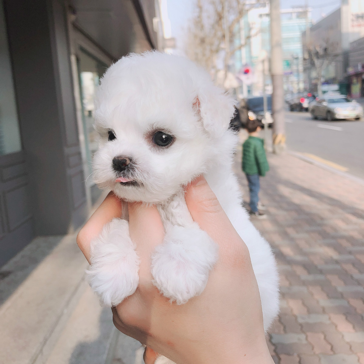 KakaoTalk_20190301_162103629_06.jpg