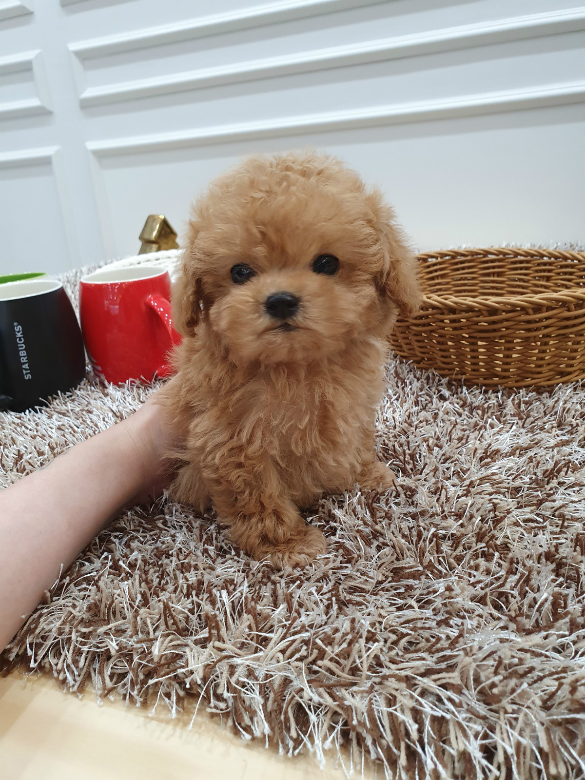 KakaoTalk_20191027_153327612_06.jpg